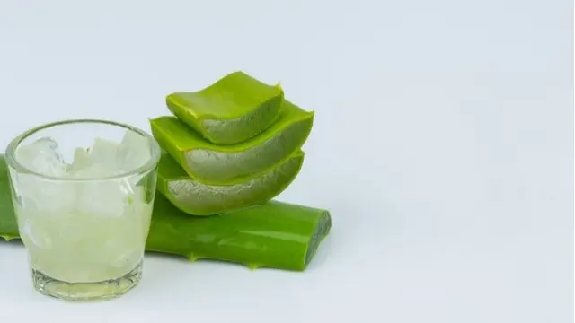 Lidah buaya (Sumber: freepik.com/jcomp)