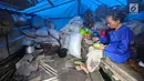 Seorang nenek makan di dalam rumah yang dibangun dengan tenda di Kampung Cisaban II, Desa Kanekes, Banten, Kamis (01/6). Warga Baduy Luar mendapat bantuan dari Kemensos untuk membangun rumah mereka yang terbakar. (Liputan6.com/Fery Pradolo)
