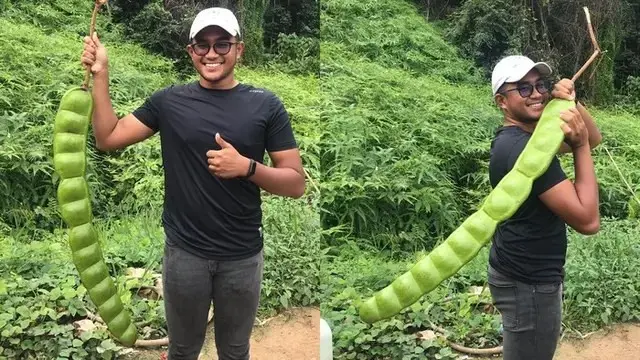8 Potret Buah dan Sayur Ini Ukurannya Tak Biasa, Enggak Habis Pikir
