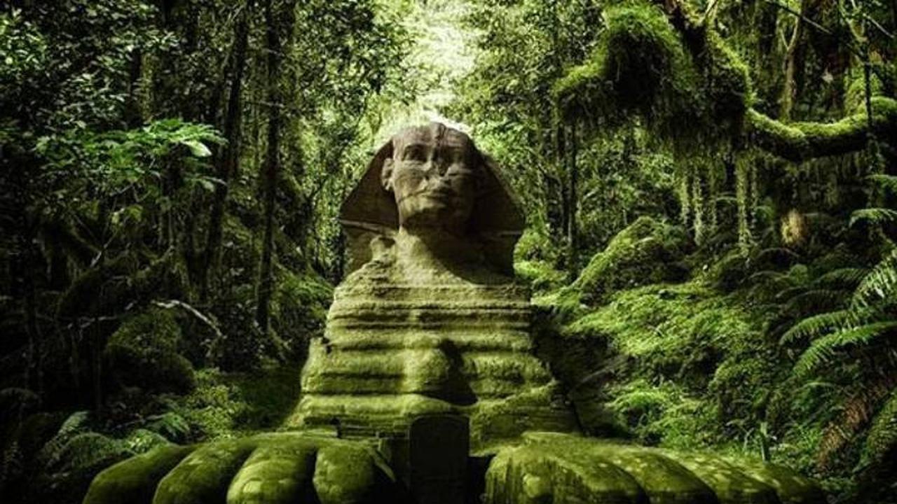 Terungkap, Gurun Sahara Dahulunya Hutan Hujan nan Lebat