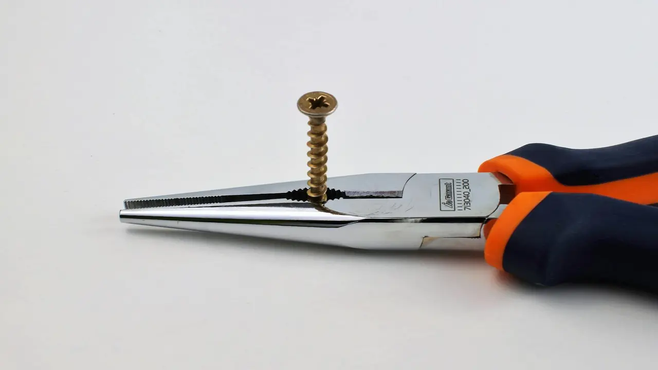 Screw