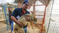 Aksi heroik dokter hewan Amir Khalil yang giat melakukan aksi penyelamatan hewan di daerah konflik. (AFP/ Said Khatib)