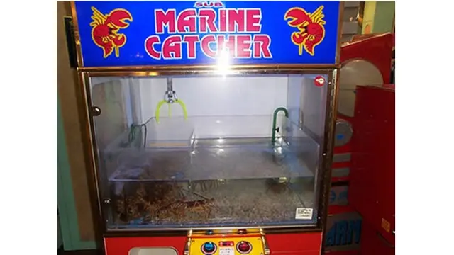 6 Potret Vending Machine Ini Jual Tanaman dan Hewan Hidup, Tak Habis Pikir