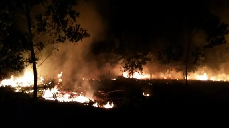 Kebakaran Lahan Meluas, Titik Panas di Aceh Malah Tak Terdeteksi 