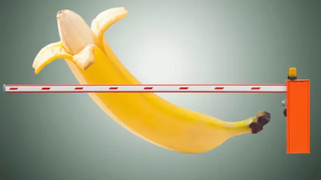 8 Fakta Tentang Kesehatan Penis