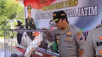 Burung-burung dilindungi disembunyikan nenek di Jember (Liputan6.com/Dian Kurniawan)