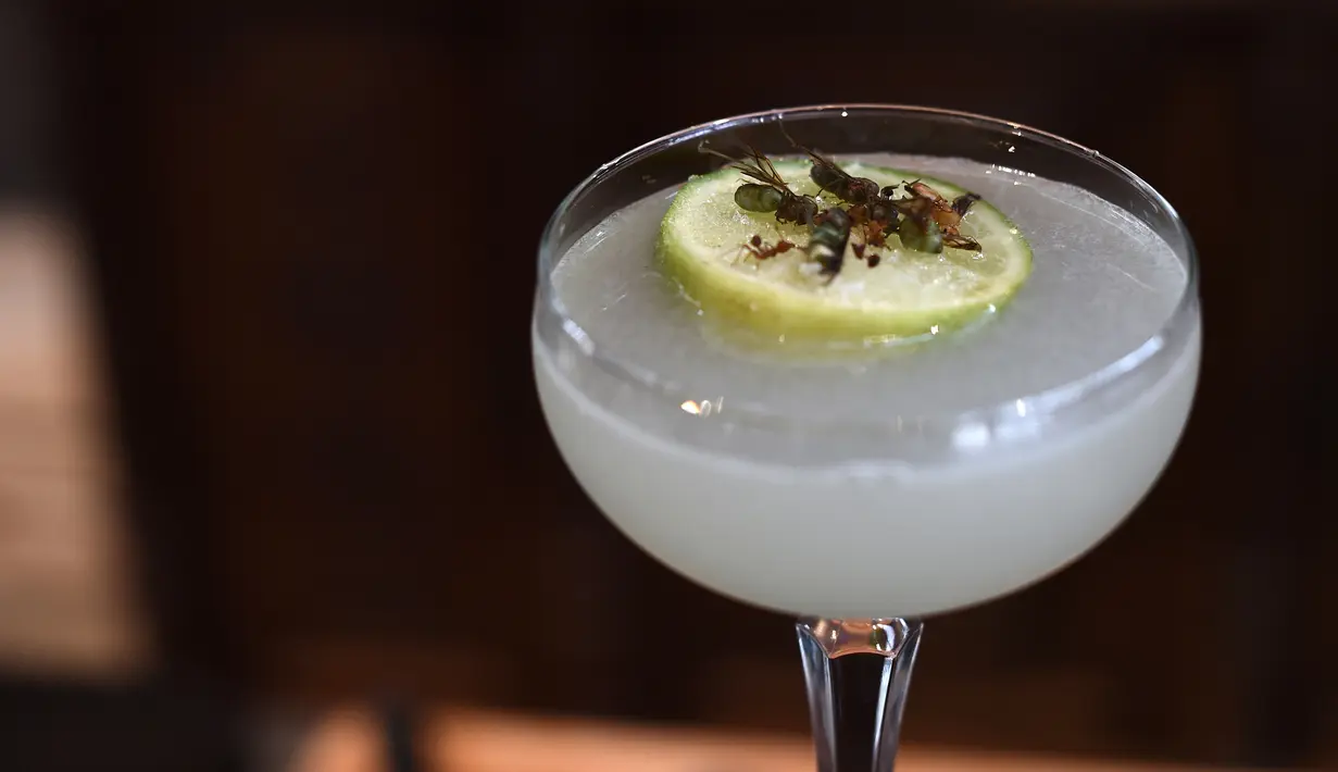 Semut bersayap yang dapat dimakan digunakan sebagai hiasan minuman margarita di restoran Insects in the Backyard, Bangkok, 15 Agustus 2017. Restoran ini menjadi yang pertama membuka menu hidangan makanan dengan kombinasi serangga (LILLIAN SUWANRUMPHA/AFP)