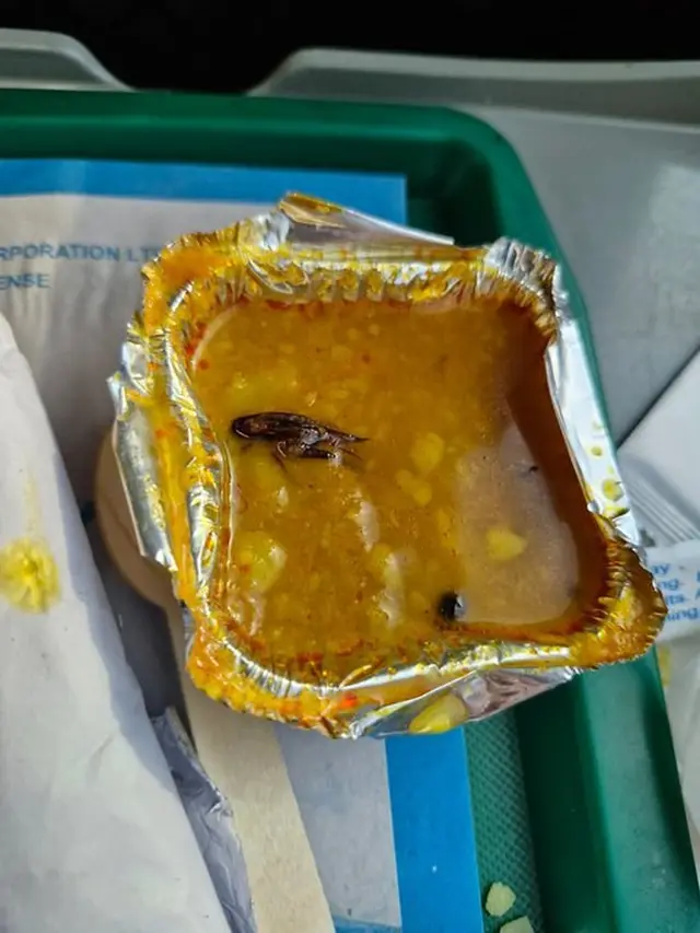 7 Benda Nyeleneh yang Ditemukan di Makanan Ini Bikin Hilang Fokus