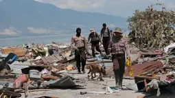 Unit K9 dibantu anjing pelacak mencari korban di antara puing bangunan usai gempa dan tsunami menerjang Palu, Sulawesi Tengah, Rabu (3/10). Anjing K9 mencari tubuh korban dengan mengandalkan penciumannya yang tajam. (AP Photo/Tatan Syuflana)