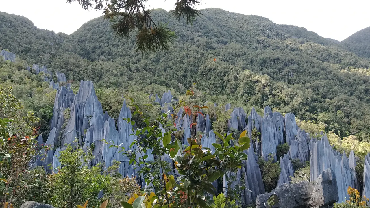Gunung Api di di Taman Mulu, Borneo, Malaysia
