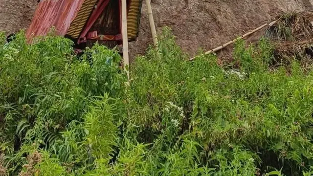 Karhutla Toraja Utara Hanguskan Pemakaman Tradisional