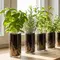 Cara Membuat Kebun Herbal Mini di Botol Kaca Bekas, Dapur Segar dan Ramah Lingkungan