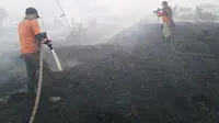 Petugas berjibaku memadamkan kebakaran lahan agar tak menimbulkan bencana kabut asap. (Liputan6.com/Dok BPBD Riau/M Syukur)