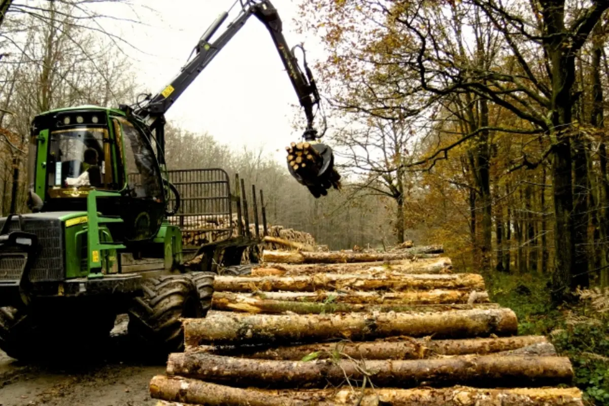 Mesin Canggih Ini Berpotensi Bikin Hutan 'Gundul'!