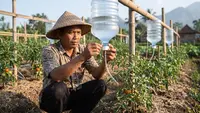 9 Cara Membuat Sistem Irigasi Tetes dari Galon Bekas Agar Tanaman Tidak Cepat Layu