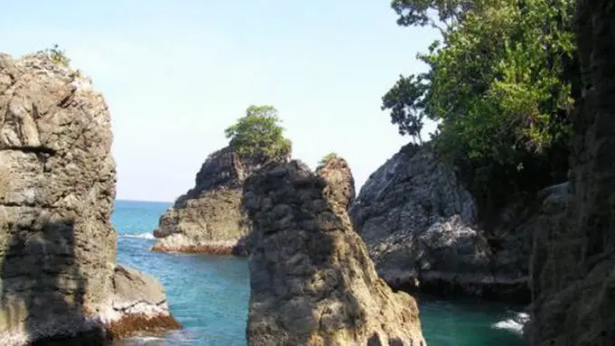 (c) ykzir.wordpress.com