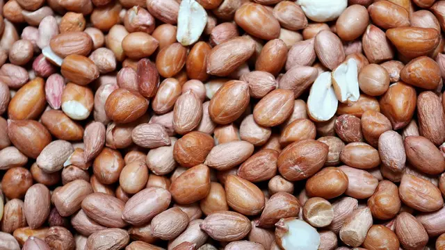 Manfaat Kacang Tanah