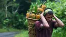 Seorang pria suku Khasi membawa nanas di keranjang bambu dan berjalan di tengah hujan di jalan raya sepanjang perbatasan negara Assam-Meghalaya di India (11/9). (AP Photo/Anupam Nath)