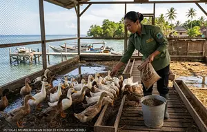 Inovasi Kandang Bebek, Ubah Sampah Organik jadi Pakan Ternak di Kepulauan Seribu