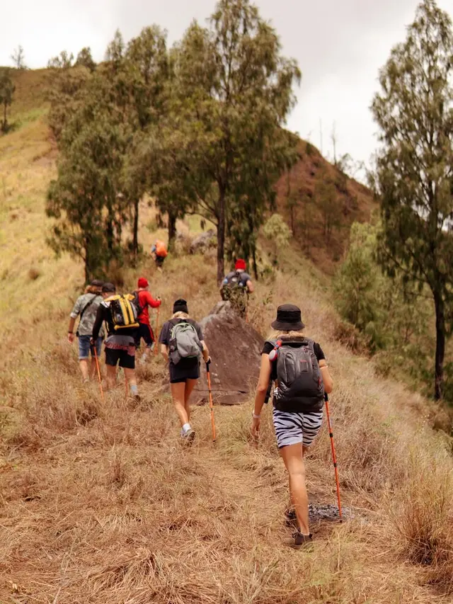 Ilustrasi mendaki dengan rombongan tim/freepik.com/alexeyzhilkin