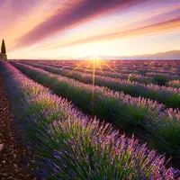 Provence, Perancis. (Beboy)