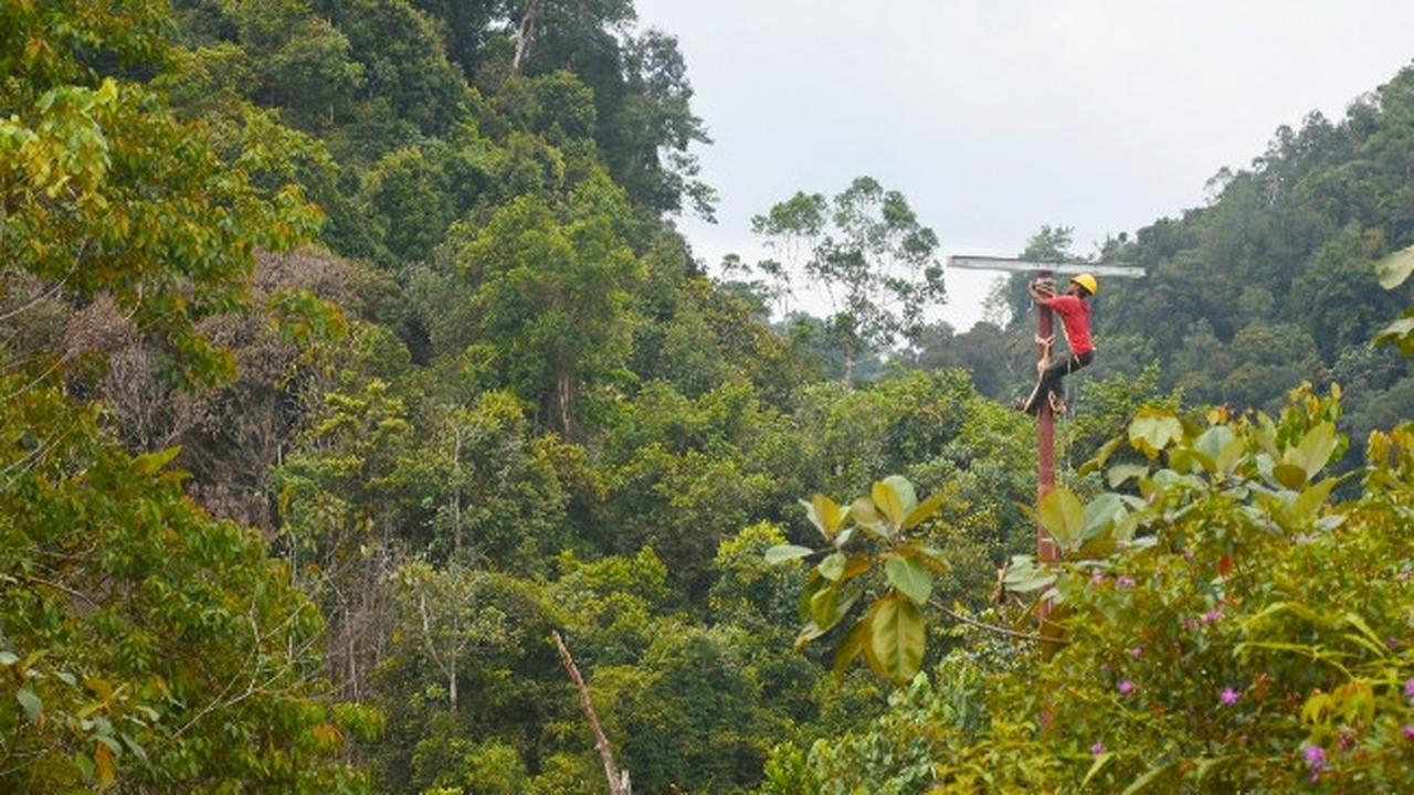 Pekerja PLN Riau memasang jaringan listrik untuk desa terpencil di Provinsi Riau.