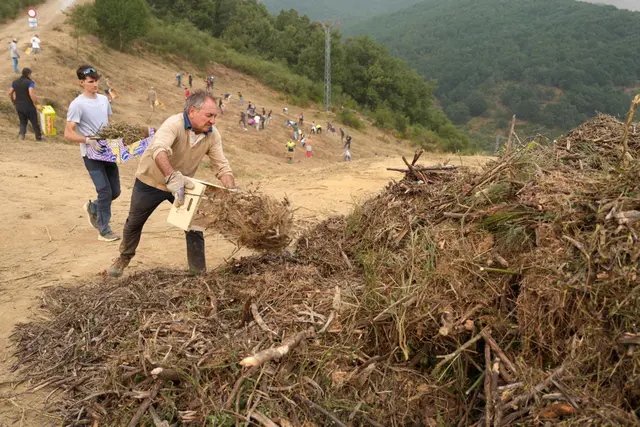 Area Hutan Pegunungan di Spanyol Dibersihkan