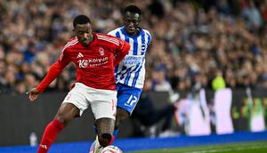 Gelandang Nottingham Forest asal Inggris #14 Callum Hudson-Odoi (kiri) berebut bola dengan gelandang Brighton asal Gambia #17 Yankuba Minteh selama pertandingan perempat final Piala FA Inggris antara Brighton &amp; Hove Albion dan Nottingham Forest di Stadion Amex, Brighton, pada Minggu (30/3/2025) dini hari WIB. (Glyn KIRK / AFP)