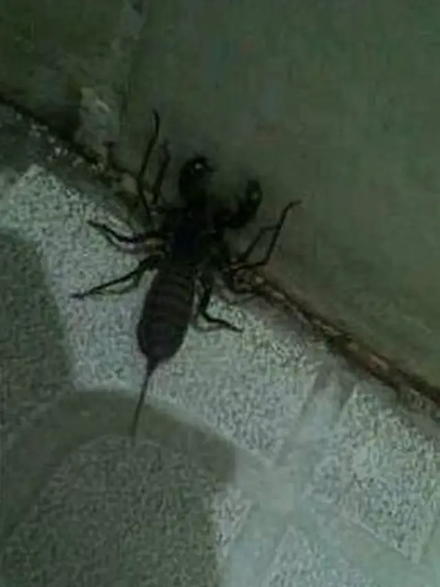 Bikin Elus Dada, 6 Potret Kamar Mandi Tak Terawat