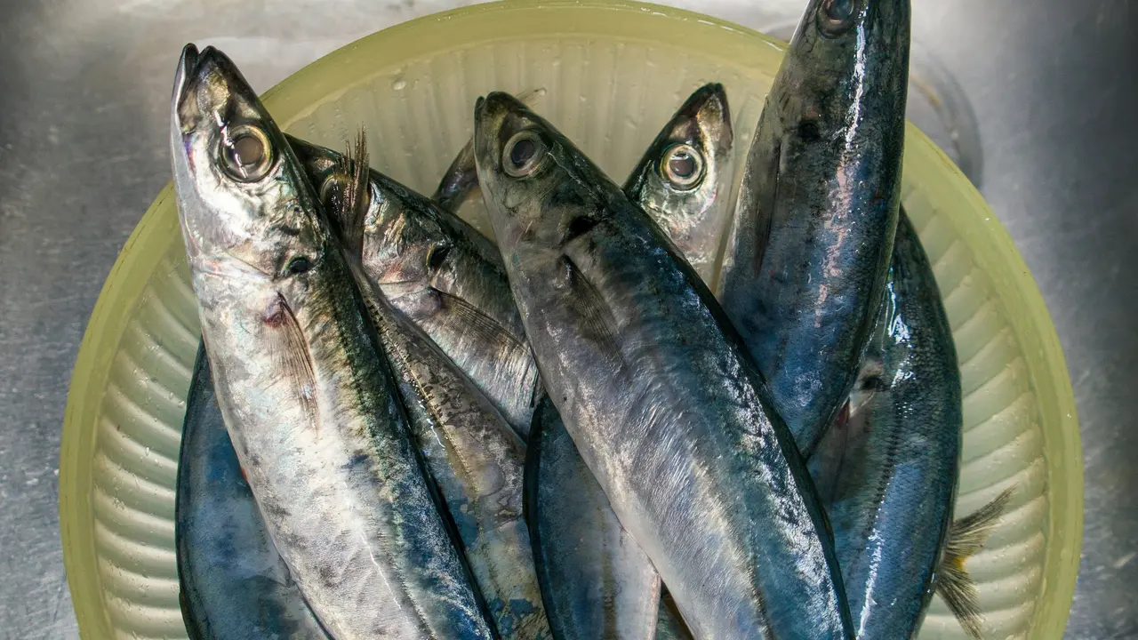 ikan segar