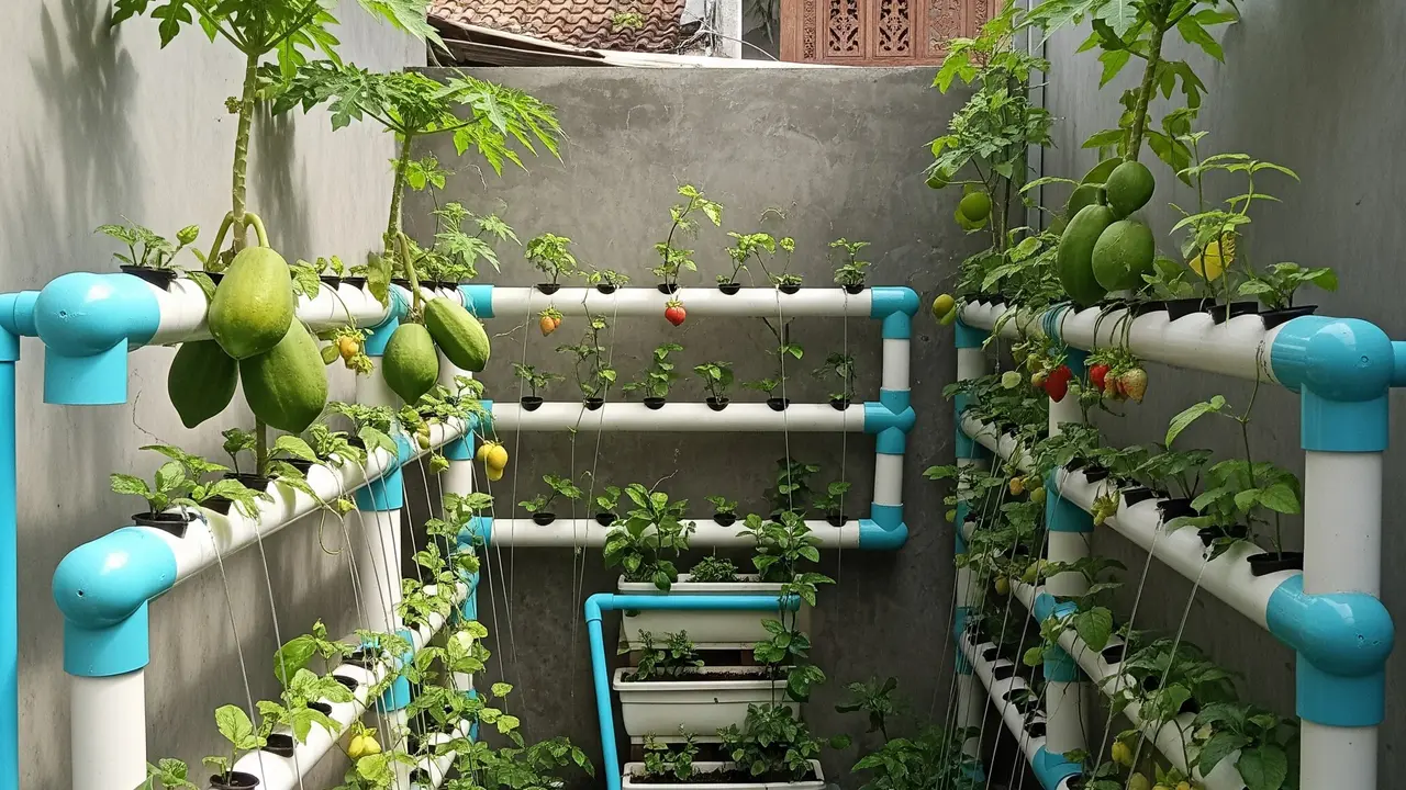 Ide Kebun Mini dengan Pengairan Otomatis