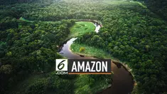 Ahli ekologi Oxford University Yadvinde Malhi memberi penjelasan. Efek oksigen Amazon bagi bumi sekitar 0%.
