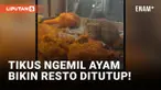 Duh! Video Tikus Gerogoti Ayam Bikin Restoran Dipaksa Tutup
