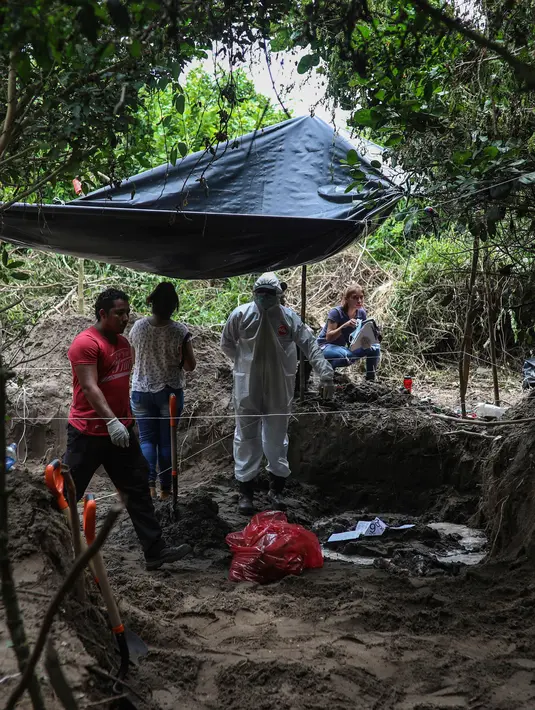 Peneliti melihat sisa-sisa manusia, yang ditempatkan di tas merah, di kuburan massal rahasia di negara bagian Veracruz, Meksiko, Jumat (7/9). Pada Maret 2017, penyelidik juga menemukan 253 tengkorak di sejumlah kuburan massal Veracruz. (AP/Felix Marquez)