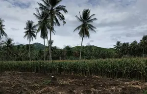 Indonesia bagian selatan mengalami kemarau, sedangkan wilayah ekuator masih berpotensi curah hujan tinggi.