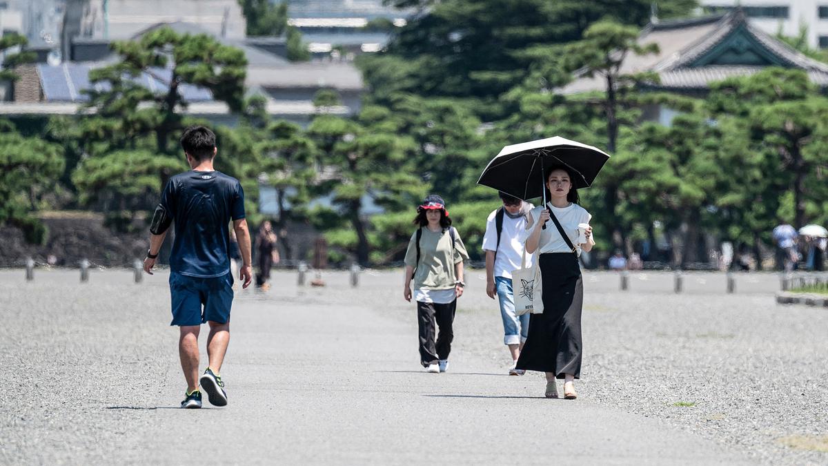 Turis vs Panas Ekstrem di Jepang, Muncul Tren Wisata Coolcations