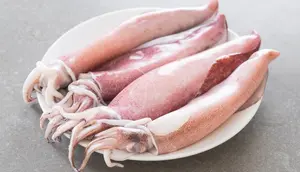 Cara Memasak Cumi agar Tidak Alot: Panduan Lengkap dari Pemilihan hingga Teknik Olah