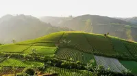 Kemenpar Gaungkan Wisata Budaya via Guar Bumi Ciparay