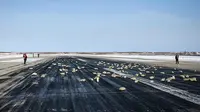 Hampir 200 batang emas dari tambang Kupol, di Chukotka, terjatuh dari sebuah pesawat Rusia layaknya hujan. (AFP)