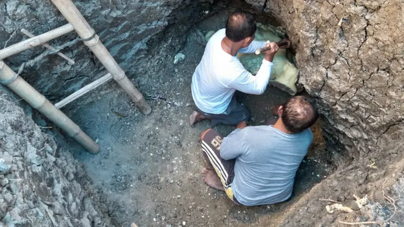 Warga di Blora Temukan Fosil Mamalia Paus Purba dalam Septic Tank