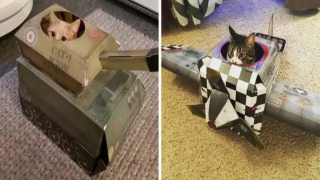Meme Kucing Menguasai Dunia