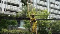 Petugas Bina Marga merapikan kabel optik yang baru saja dipotong di sepanjang jalan kawasan Kemang, Jakarta, Kamis (24/10/2019). Pemotongan kabel optik tersebut untuk menertibkan instalasi kabel yang semrawut serta mengganggu ketertiban umum di kawasan Kemang. (Liputan6.com/Immanuel Antonius)