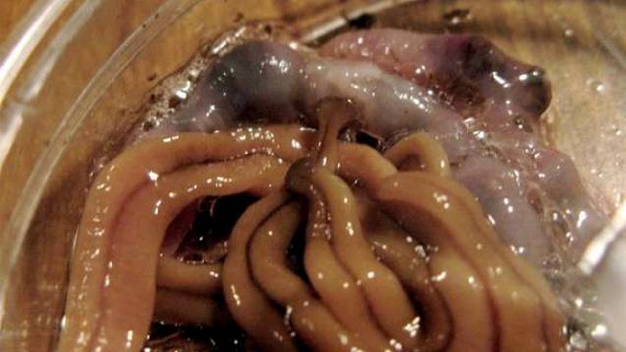 6 Ramuan Cinta Mengerikan