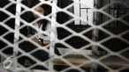 Jessica Kumala Wongso berada di dalam mobil tahanan usai sidang vonis di PN Jakarta Pusat, Jakarta, Kamis (27/10). Jessica mengatakan vonis yang dijatuhkan hakim tidak adil dan berencana akan mengajukan banding. (Liputan6.com/Helmi Afandi)