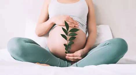 perempuan ibu hamil besar