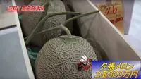 Melon Langka Asal Jepang Laku Terjual Rp 370 Juta