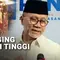 Harga Daging Sapi Masih Tinggi