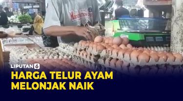 Harga Telur Ayam Naik, Pedagang: Omset Turun 25 Persen