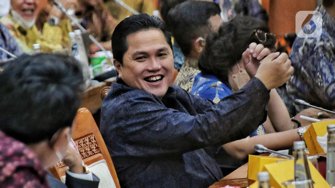 BUMN dan investasi raker dengan komisi VI