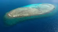 Terumbu karang di Kaledonia Baru di Pasifik selatan. (File AFP)